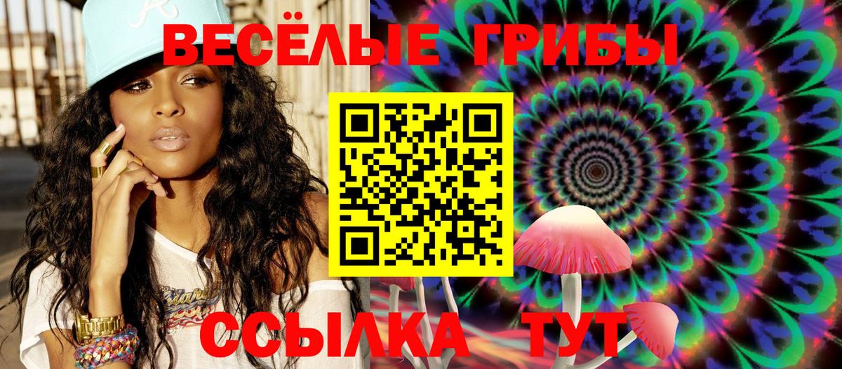 Псилоцибиновые грибы Magic Shrooms  Вход с VPN  Алапаевск  Псилоцибиновые грибы ЛСД 