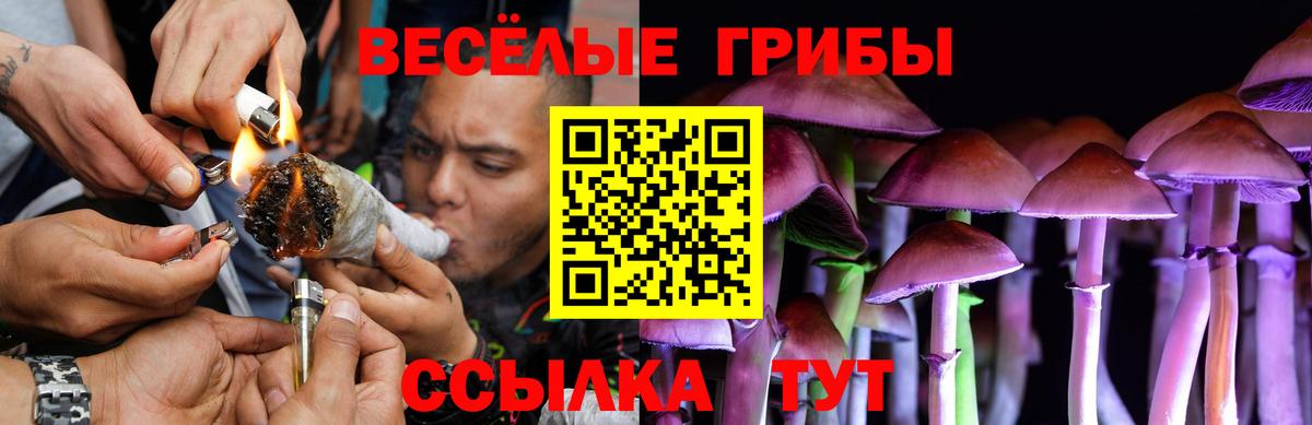 Галлюциногенные грибы ЛСД Алапаевск
